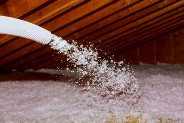 Best Geographic-Specific Insulation Services in Richmond Hill, GA
