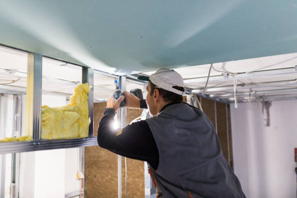 Best Eco-Friendly Insulation in Richmond Hill, GA