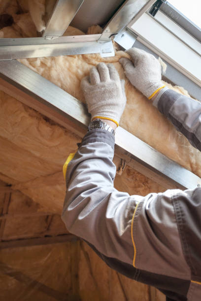 Types of Insulation We Offer in Richmond Hill, GA