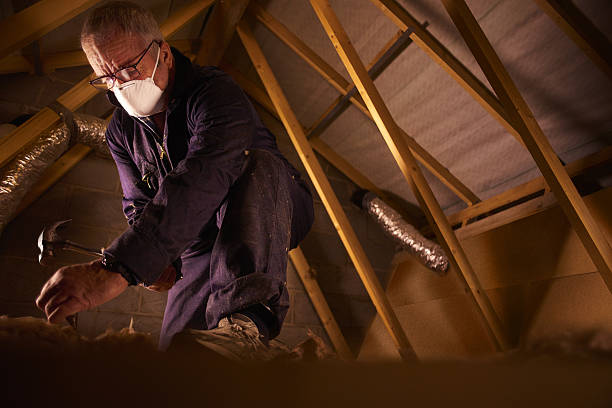 Best Insulation Maintenance and Repair in Richmond Hill, GA